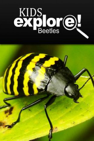 Kniha Beetles - Kids Explore: Animal books nonfiction - books ages 5-6 Kids Explore!