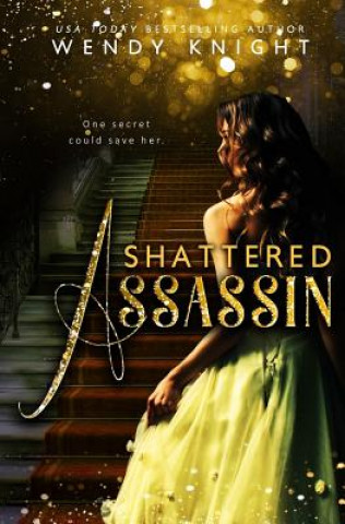 Livre Shattered Assassin Wendy Knight