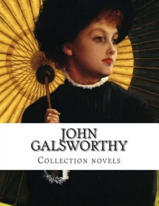 Kniha John Galsworthy, Collection novels John Galsworthy