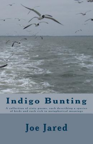 Carte Indigo Bunting: A collection of sixty poems, each describing a species of birds and each rich in metaphorical meanings Joe Jared