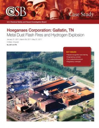 Kniha Hoeganaes Corporation: Gallatin, TN Metal Dust Flash Fires and Hydrogen Explosion U S Chemical Safet Investigation Board