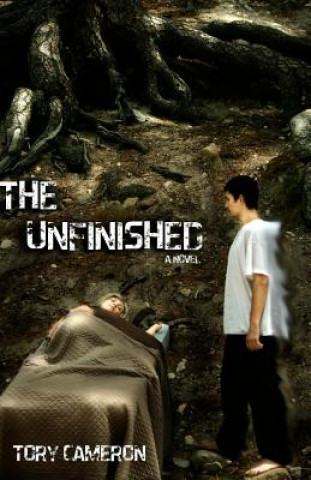 Buch The Unfinished Tory Cameron