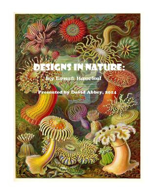 Книга Designs in Nature: the incredible art of Ernst Haeckel David Abbey