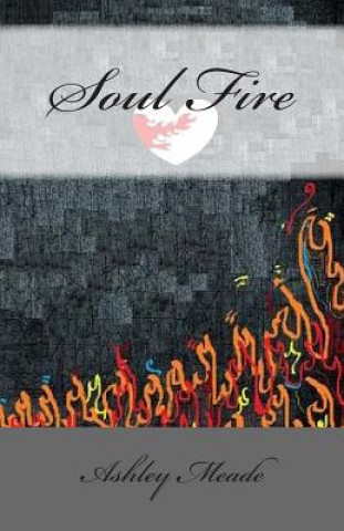 Knjiga Soul Fire Ashley Meade