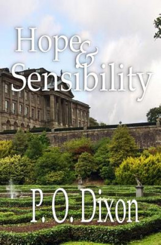 Kniha Hope and Sensibility P O Dixon