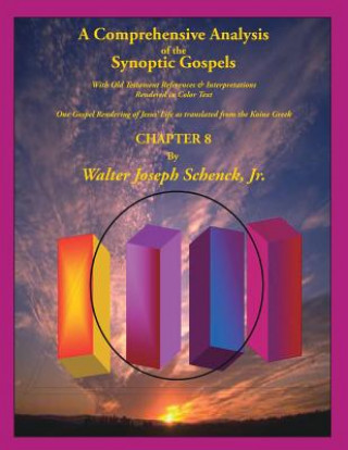 Buch A Comprehensive Analysis of the Synoptic Gospels: With Old Testament References and Interpretations Rendered in Colored Text MR Walter Joseph Schenck Jr