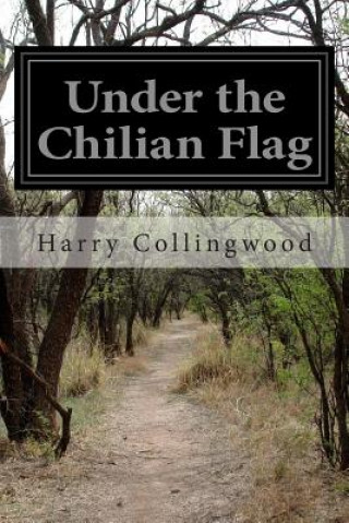 Livre Under the Chilian Flag Harry Collingwood