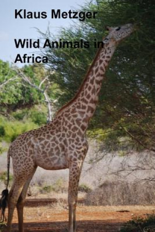 Kniha Wild Animals in Africa Klaus Metzger