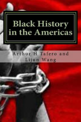 Kniha Black History in the Americas: lesson plans for the Black Experience Arthur H Tafero