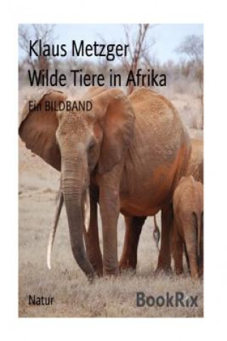 Könyv Wilde Tiere in Afrika Klaus Metzger