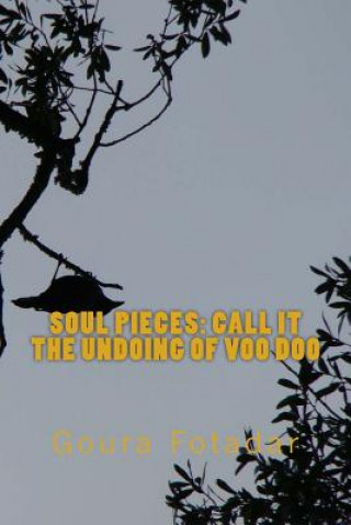 Kniha Soul Pieces: CALL IT the undoing of voo doo Goura Fotadar