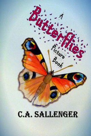 Boek A Butterflies Picture Book C a Sallenger