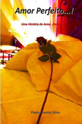 Kniha Amor Perfeito...!: Uma Perfeita Estoria de Amor...! P Paulo Queiroz Silva S