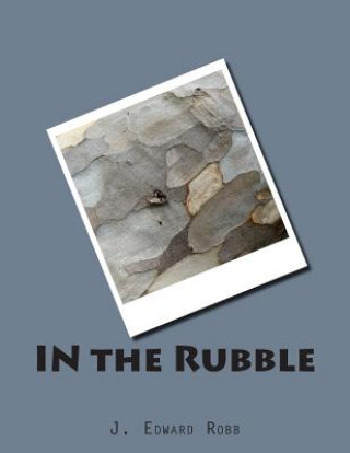 Book IN the Rubble J Edward Robb