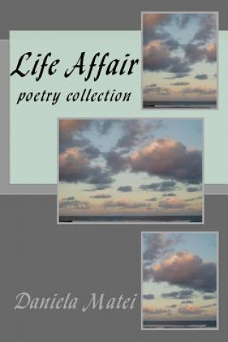Libro Life Affair Daniela Matei
