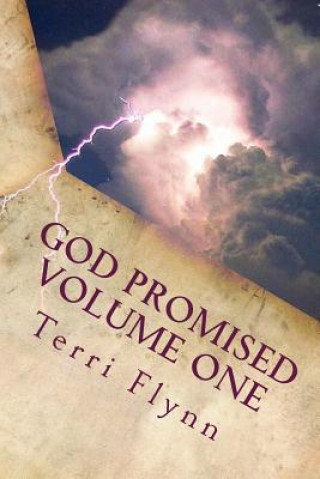 Könyv God Promised Volume One: Proclaiming the Word Over Terri Flynn