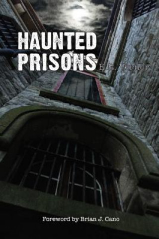 Kniha Haunted Prisons E R Vernor