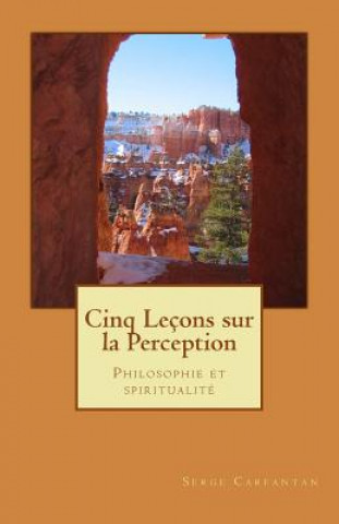 Kniha Cinq lecons sur la perception: Philosophie et spiritualite Serge Carfantan