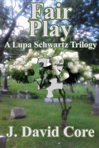 Kniha Fair Play: A Lupa Schwartz Trilogy J David Core