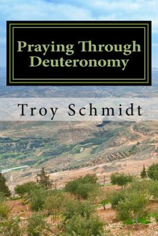 Buch Praying Through Deuteronomy Troy Schmidt