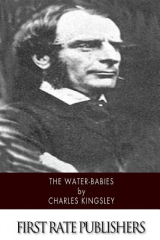 Книга The Water-Babies Charles Kingsley