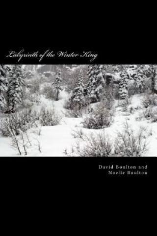 Kniha Labyrinth of the Winter King: An Epic Saga MR David Boulton