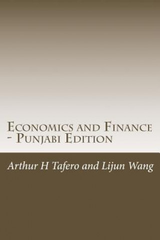 Kniha Economics and Finance - Punjabi Edition: Includes Lesson Plans Arthur H Tafero