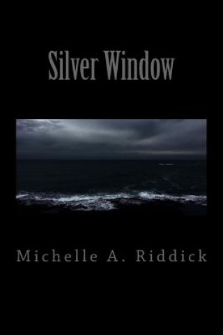 Kniha Silver Window Michelle a Riddick