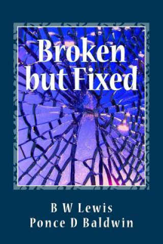 Knjiga Broken but Fixed MR B W Lewis