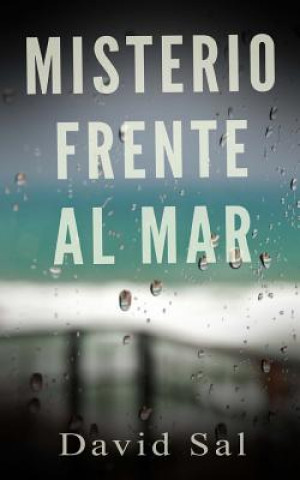 Книга Misterio Frente Al Mar David Sal
