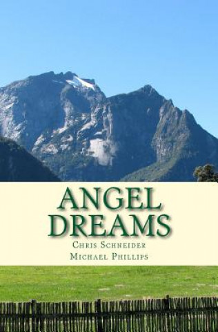 Libro Angel Dreams Chris Schneider