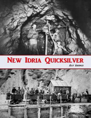 Boek New Idria Quicksilver: History of the New Idria Mining District Ray Iddings