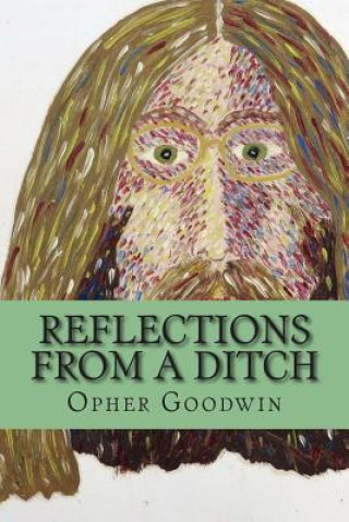 Libro Reflections from a ditch Opher Goodwin