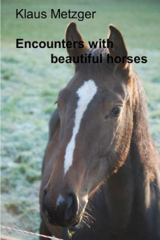 Kniha Encounters with Beautiful Horses Klaus Metzger