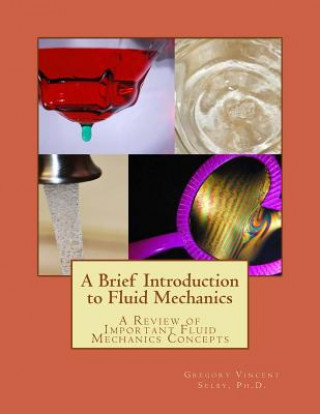 Libro A Brief Introduction to Fluid Mechanics: A Review of Important Fluid Mechanics Concepts Dr Gregory Vincent Selby