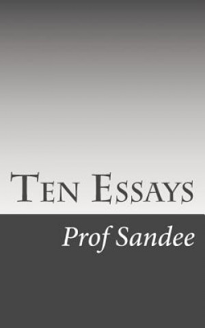 Kniha Ten Essays Prof Sandee