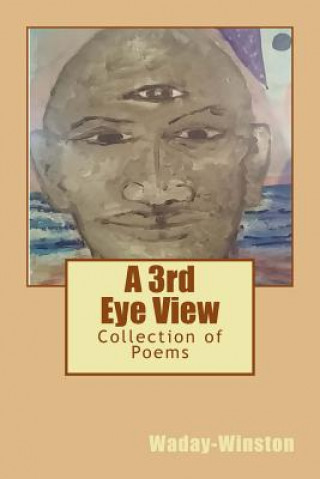 Βιβλίο A Third Eye View Willie a Smith Jr