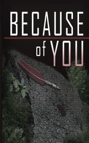 Boek Because of You MR Branden J Davis