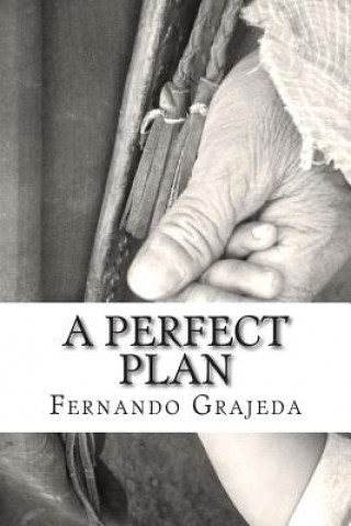 Knjiga A Perfect Plan Fernando Grajeda