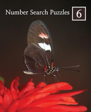 Kniha Number Search Puzzles 6: 100 Elegant Puzzles in Large Print Puzzlefast