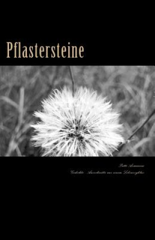 Carte Pflastersteine: Gedichte - Ausschnitte aus einem Lebenszyklus Patti Armanini
