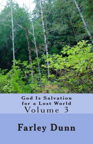 Kniha God Is Salvation for a Lost World Vol. 3: Volume 3 Farley Dunn