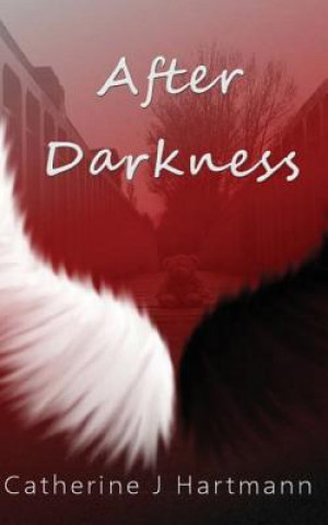 Kniha After: Darkness Catherine J Hartmann