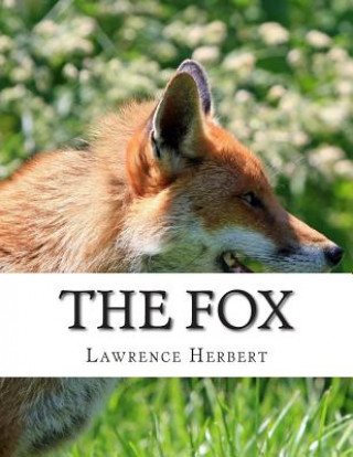 Knjiga The Fox Lawrence David Herbert