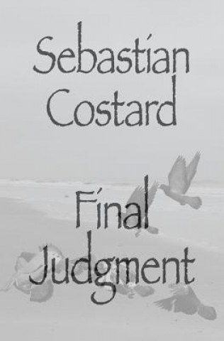 Knjiga Final Judgment Sebastian Costard
