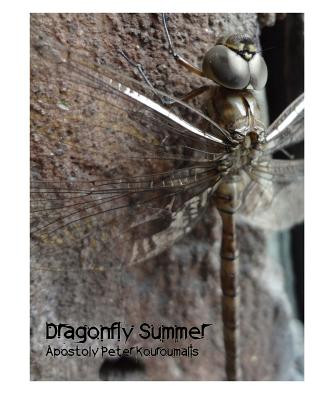 Knjiga Dragonfly Summer MR Apostoly Peter Kouroumalis
