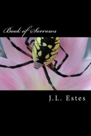 Kniha Book of Sorrows J L Estes