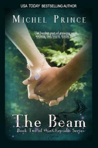 Book The Beam Michel Prince