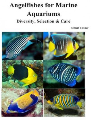 Kniha Angelfishes for Marine Aquariums: Diversity, Selection & Care Robert Fenner