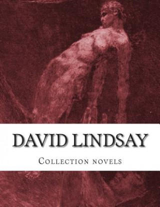 Buch David LINDSAY, Collection novels David Lindsay